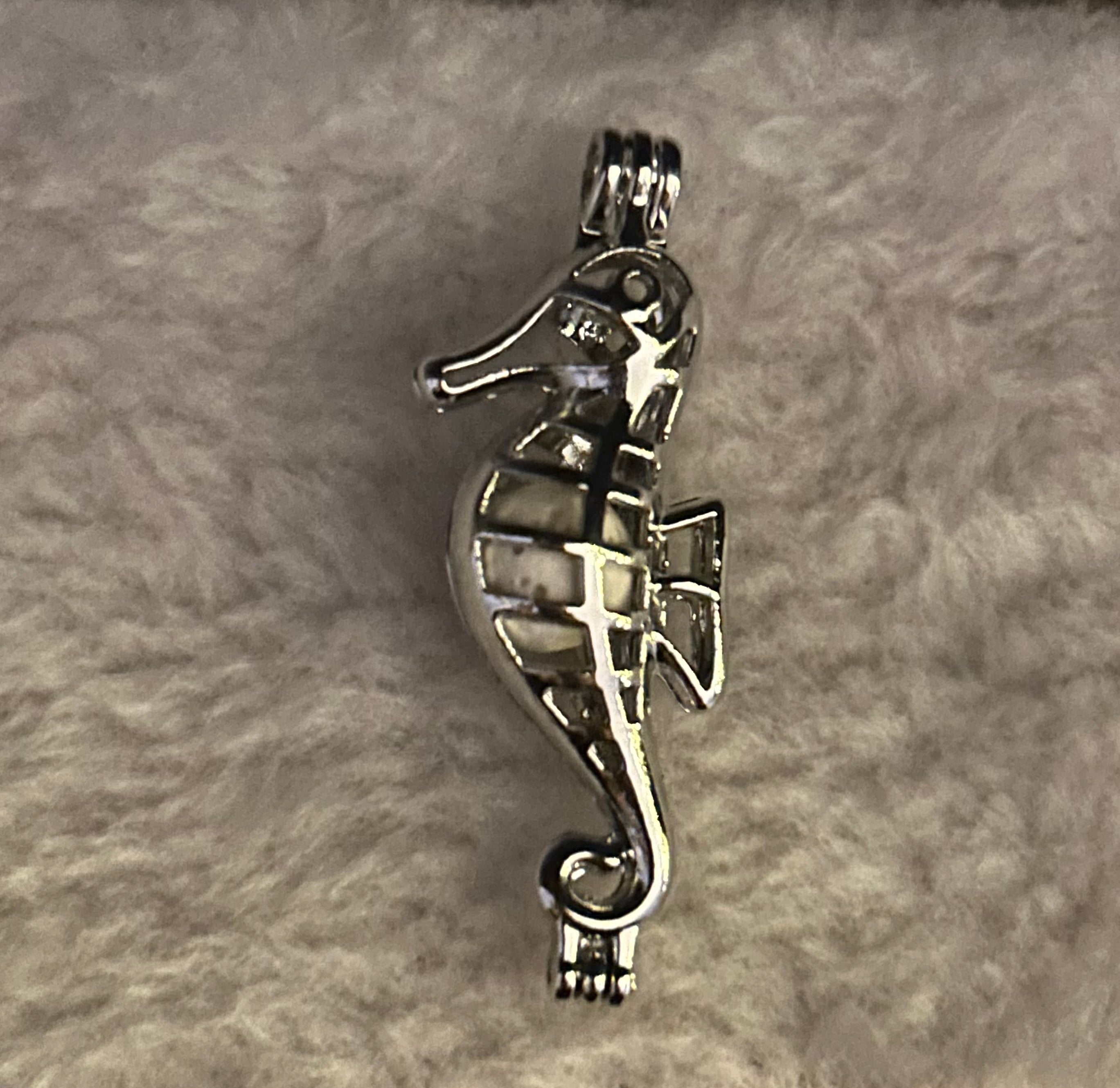 Seahorse